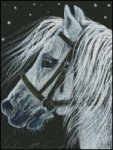 (image for) Starlight Horse
